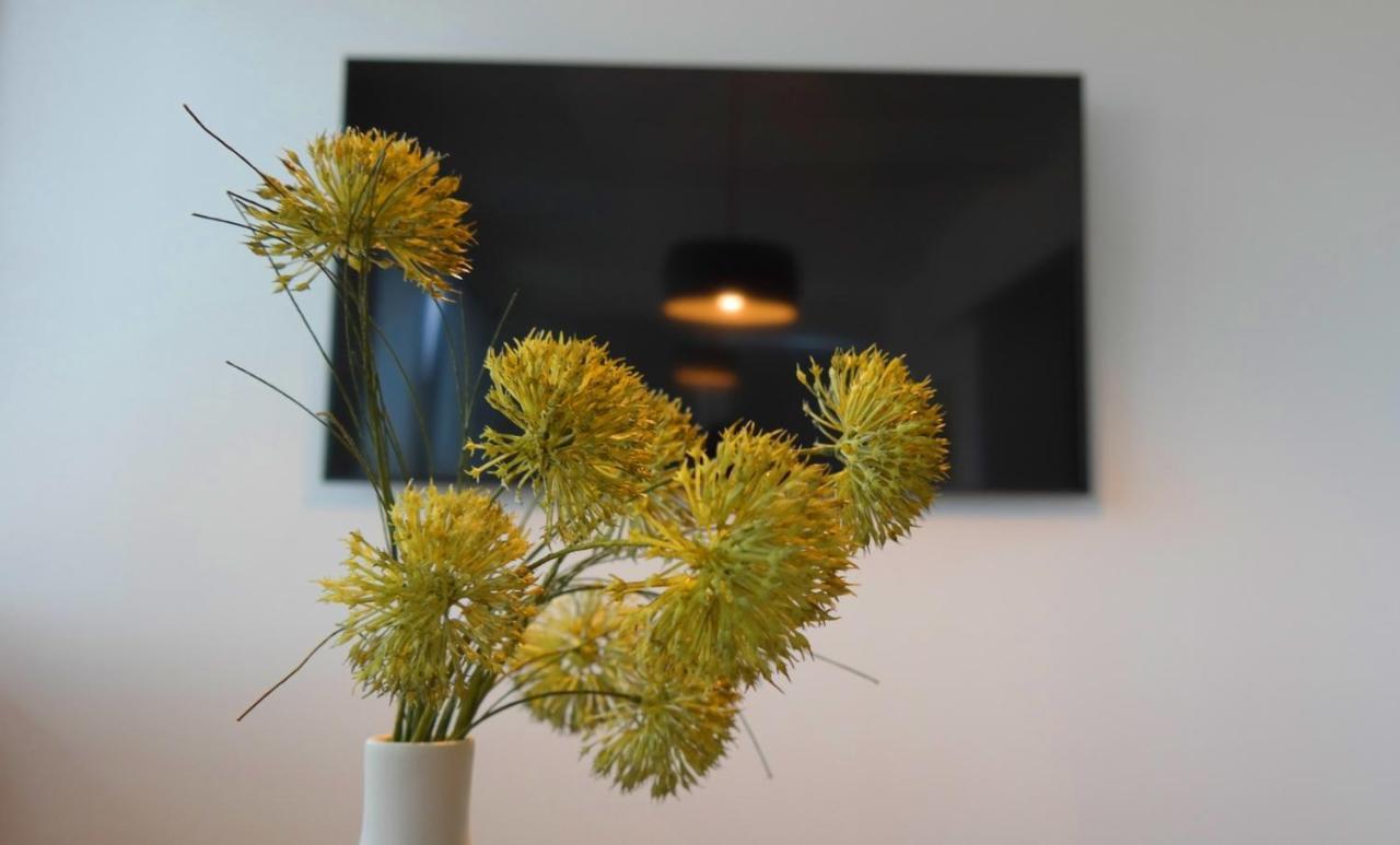 Apartment Flora Pula Extérieur photo